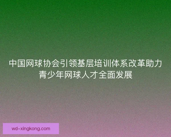 中国网球协会引领基层培训体系改革助力青少年网球人才全面发展 中国网球协会引领基层培训体系改革助力青少年网球人才全面发展