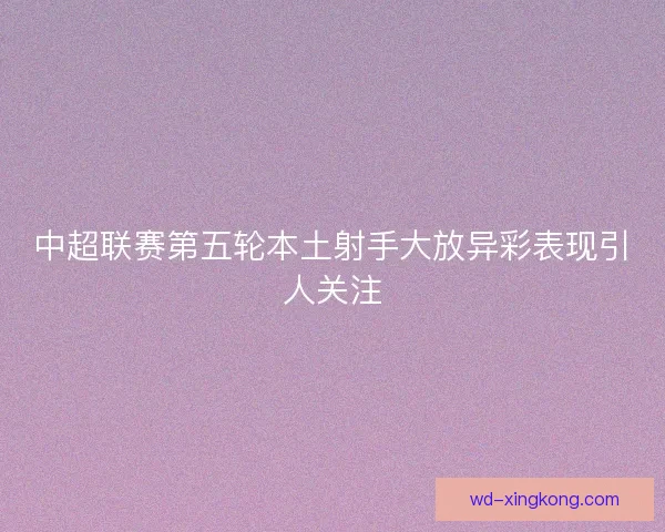 中超联赛第五轮本土射手大放异彩表现引人关注