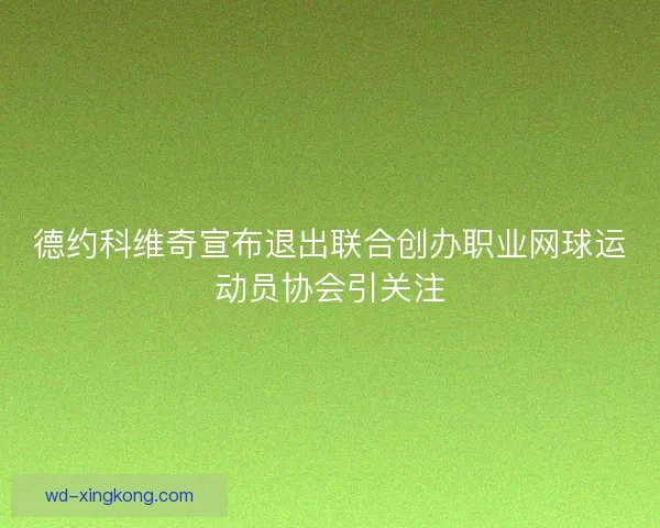 德约科维奇宣布退出联合创办职业网球运动员协会引关注