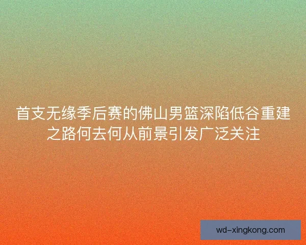首支无缘季后赛的佛山男篮深陷低谷重建之路何去何从前景引发广泛关注